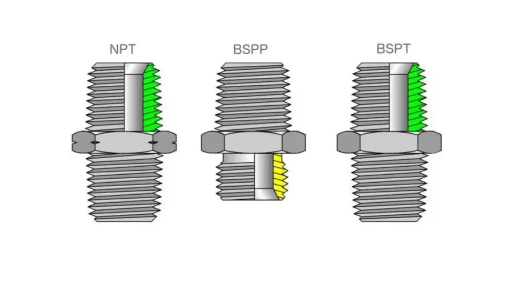 bspp, bspt, npt