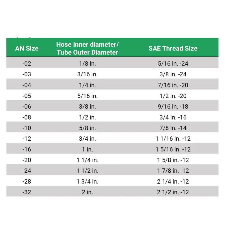 an fitting size chart