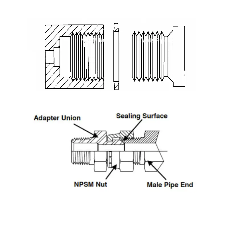 npsm vs bspp